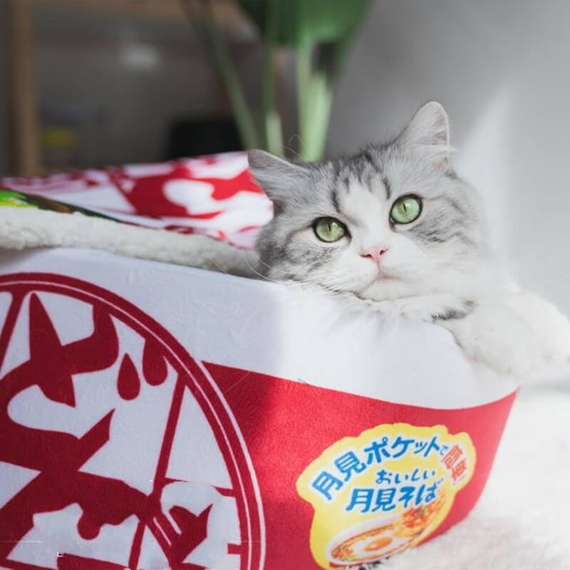 Ramen Cat Bed