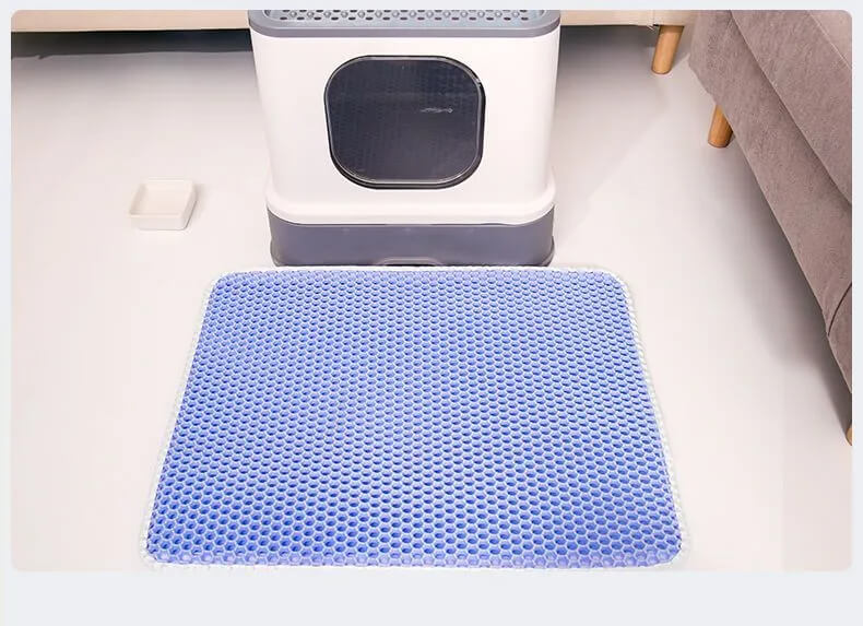 Double-Layer Cat Litter Mat