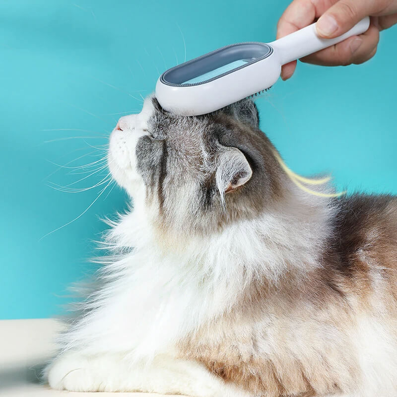 Double-Sided Cat Brush with Water Tank