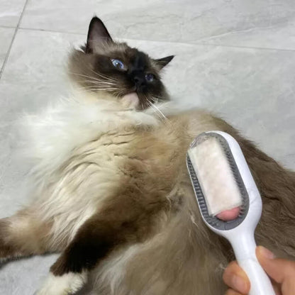 Double-Sided Cat Brush with Water Tank