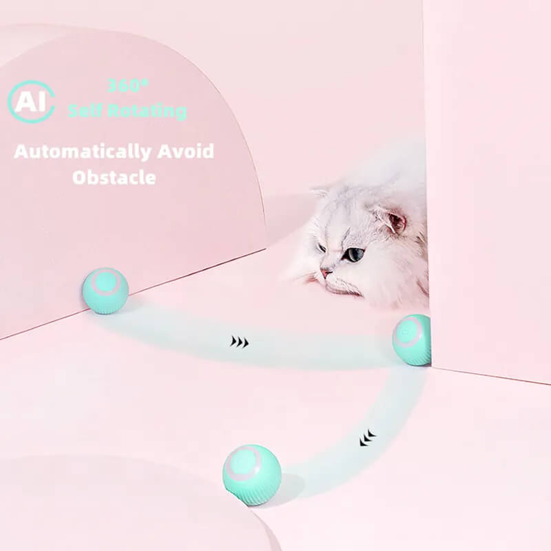 Interactive Ball Smart Cat Toy