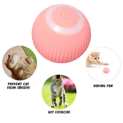 Interactive Ball Smart Cat Toy