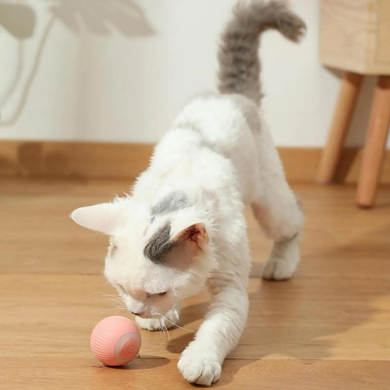 Interactive Ball Smart Cat Toy