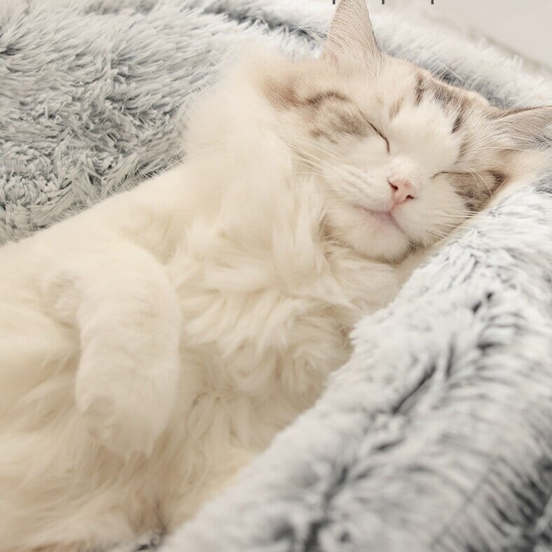 Comfy Cat Sleeping Bag