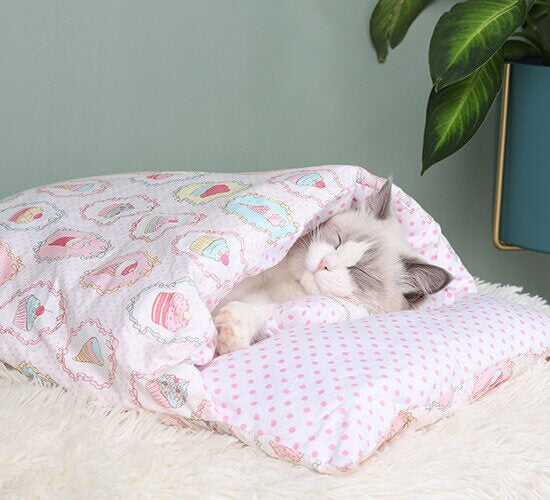 Japanese Cat Bed with a Pillow