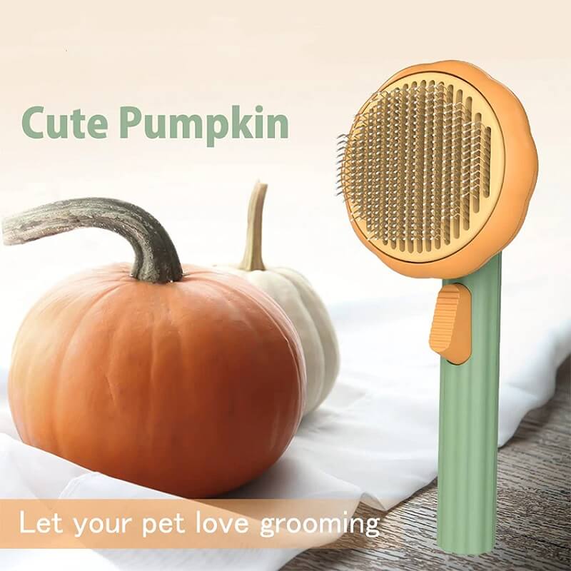 Pumpkin Cat Hair Brush